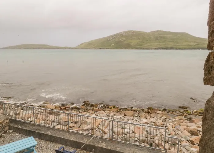 King Dom wakacyjny *